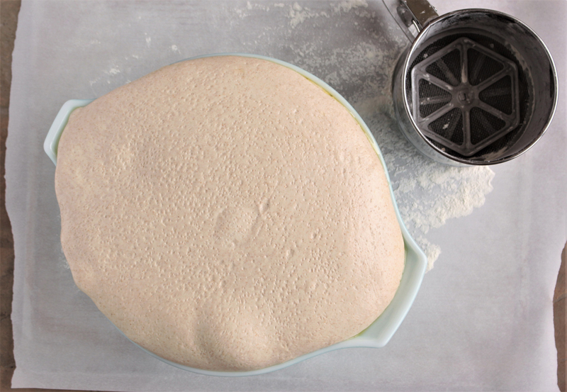 Sourdough bread starter