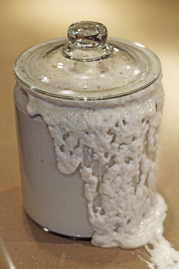 Yeast starter sourdough bread explode