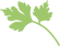 parsley icon